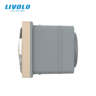 Механизм Bluetooth 5.0 колонка золото Livolo (VL-FCF-2AP) Механизм Bluetooth 5.0 колонка золото Livolo (VL-FCF-2AP)