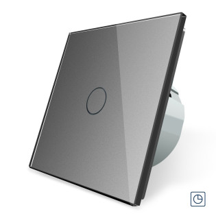 Сенсорный выключатель таймер Выключатель с реле времени Livolo цвет серый (VL-C701T-15) Сенсорный выключатель таймер Выключатель с реле времени Livolo цвет серый (VL-C701T-15)