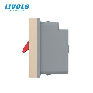 Механизм розетка Hi-Fi аудио золото Livolo (VL-FCSD-1APS01) Механизм розетка Hi-Fi аудио золото Livolo (VL-FCSD-1APS01)