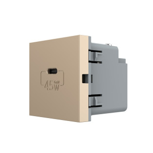 Механизм розетка USB type C с блоком питания 45W золото Livolo (VL-FCUC-2AP) Механизм розетка USB type C с блоком питания 45W золото Livolo (VL-FCUC-2AP)