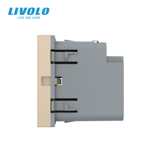 Механизм розетка USB type C с блоком питания 45W золото Livolo (VL-FCUC-2AP) Механизм розетка USB type C с блоком питания 45W золото Livolo (VL-FCUC-2AP)