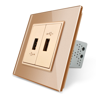 Розетка два USB с блоком питания 2.1А 5V Livolo золото стекло (VL-C792U-13) Розетка два USB с блоком питания 2.1А 5V Livolo золото стекло (VL-C792U-13)