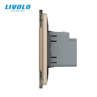 Розетка USB type C с блоком питания 45W золото Livolo (VL-C7-FCUC-2AP) Розетка USB type C с блоком питания 45W золото Livolo (VL-C7-FCUC-2AP)