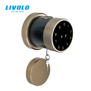 Умный замок Livolo (VL-SHL001-A) Умный замок Livolo (VL-SHL001-A)