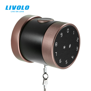 Умный замок Livolo (VL-SHL001-I) Умный замок Livolo (VL-SHL001-I)