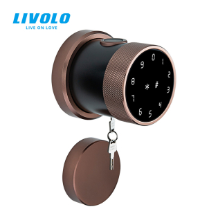 Умный замок Livolo (VL-SHL001-I) Умный замок Livolo (VL-SHL001-I)