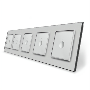 Сенсорный выключатель Sense 5 сенсоров (1-1-1-1-1) Livolo серый стекло (VL-C7FC1/FC1/FC1/FC1/FC1-10IP) Сенсорный выключатель Sense 5 сенсоров (1-1-1-1-1) Livolo серый стекло (VL-C7FC1/FC1/FC1/FC1/FC1-10IP)